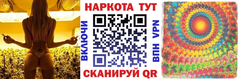 Где купить наркотики Сегежа Гашиш Канабис Меф мяу мяу