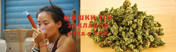 гашик Белоозёрский