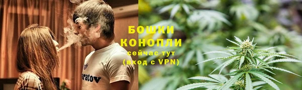 ПСИЛОЦИБИНОВЫЕ ГРИБЫ Беломорск