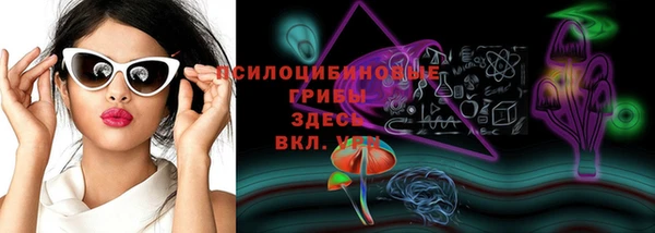 ПСИЛОЦИБИНОВЫЕ ГРИБЫ Беломорск