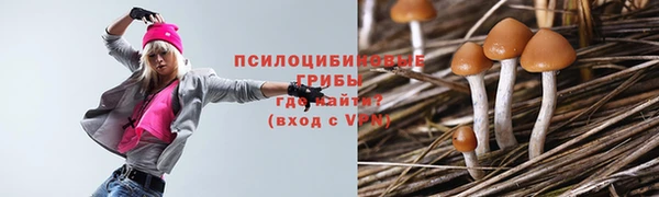 ПСИЛОЦИБИНОВЫЕ ГРИБЫ Беломорск