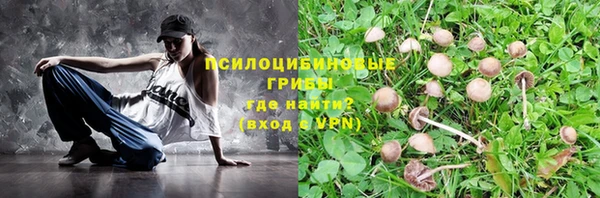 синтетический гашиш Белокуриха