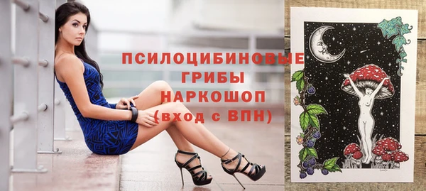 гашик Белоозёрский