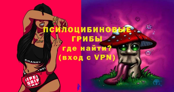 гашик Белоозёрский